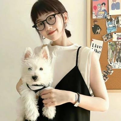 功能失常的猫